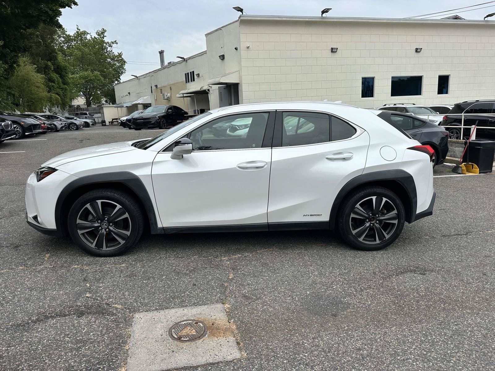 Used 2019 Lexus UX 250h AWD/4WD image 6