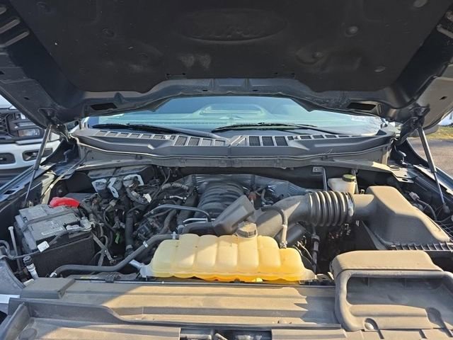 Used 2023 Ford F150 XLT w/ Equipment Group 302A High image 6