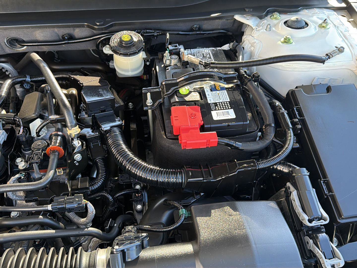 Used 2019 Honda Accord EX-L image 35