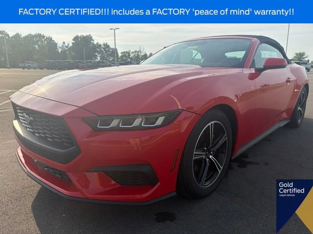Used 2024 Ford Mustang Premium RWD image 2