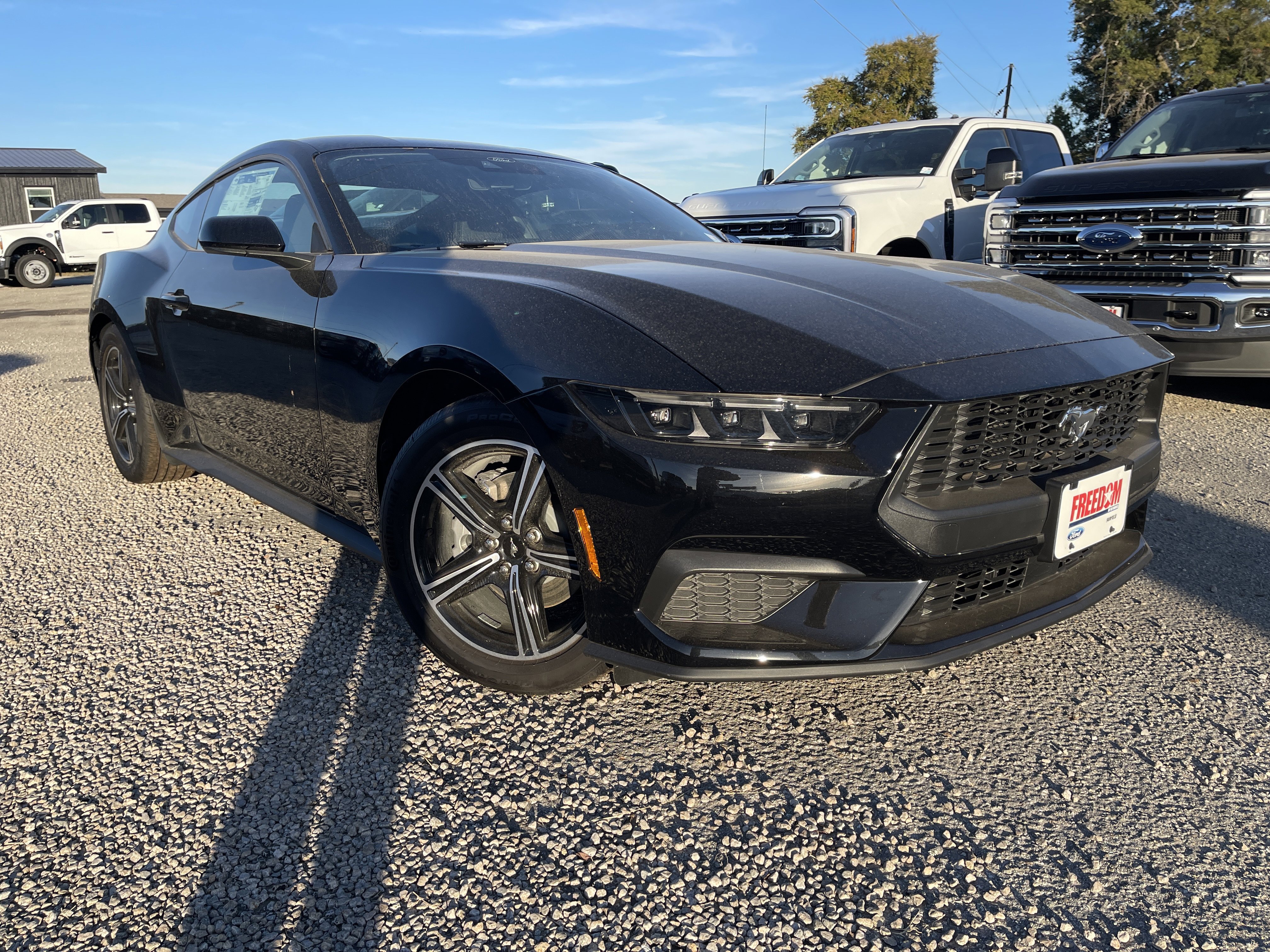 New 2025 Ford Mustang Coupe image 2