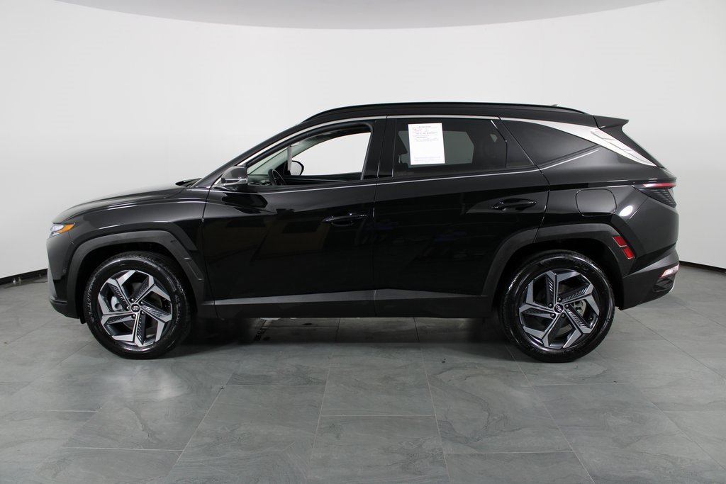 Certified 2024 Hyundai Tucson Limited image 8