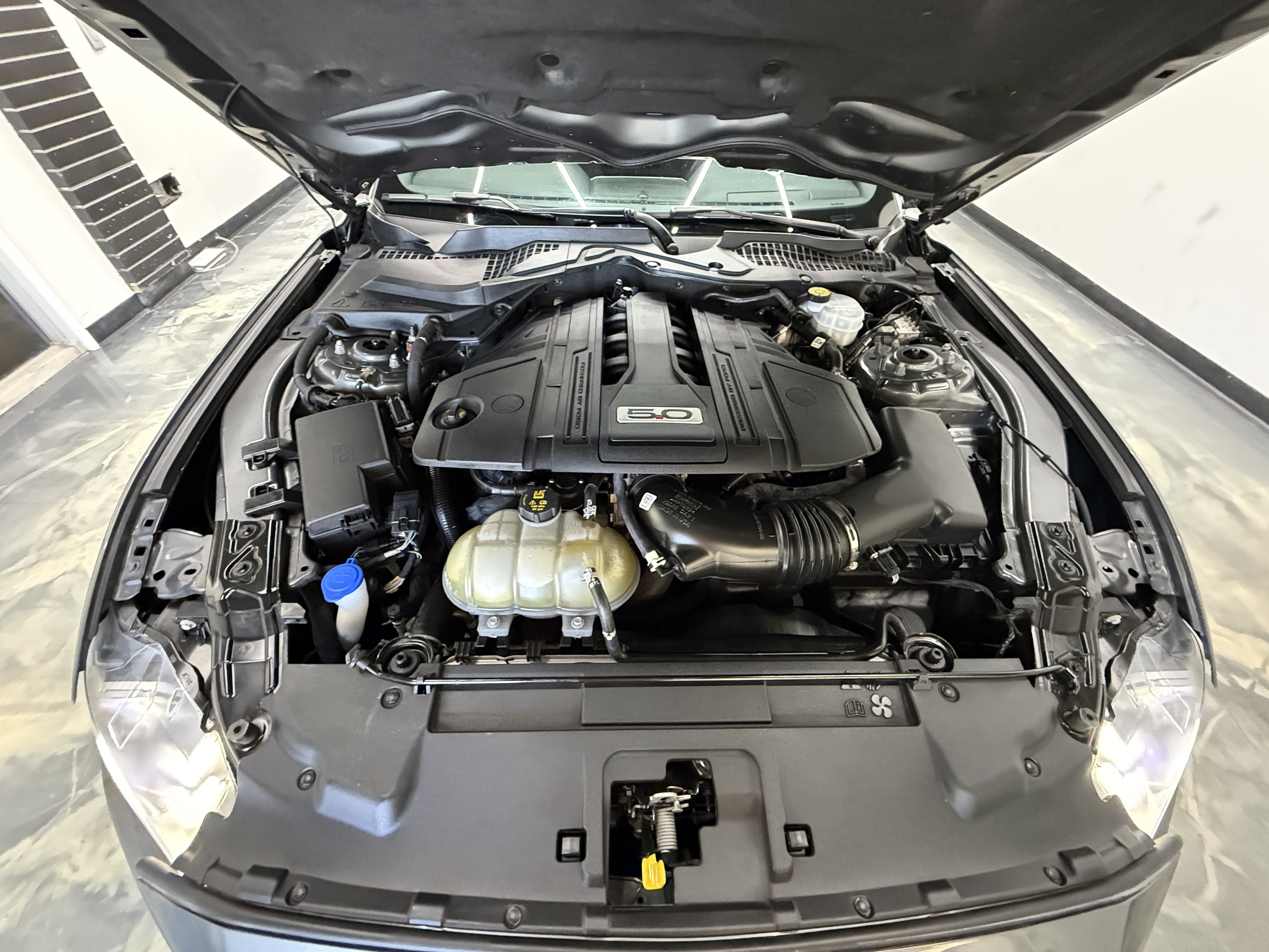 Used 2021 Ford Mustang GT RWD image 27