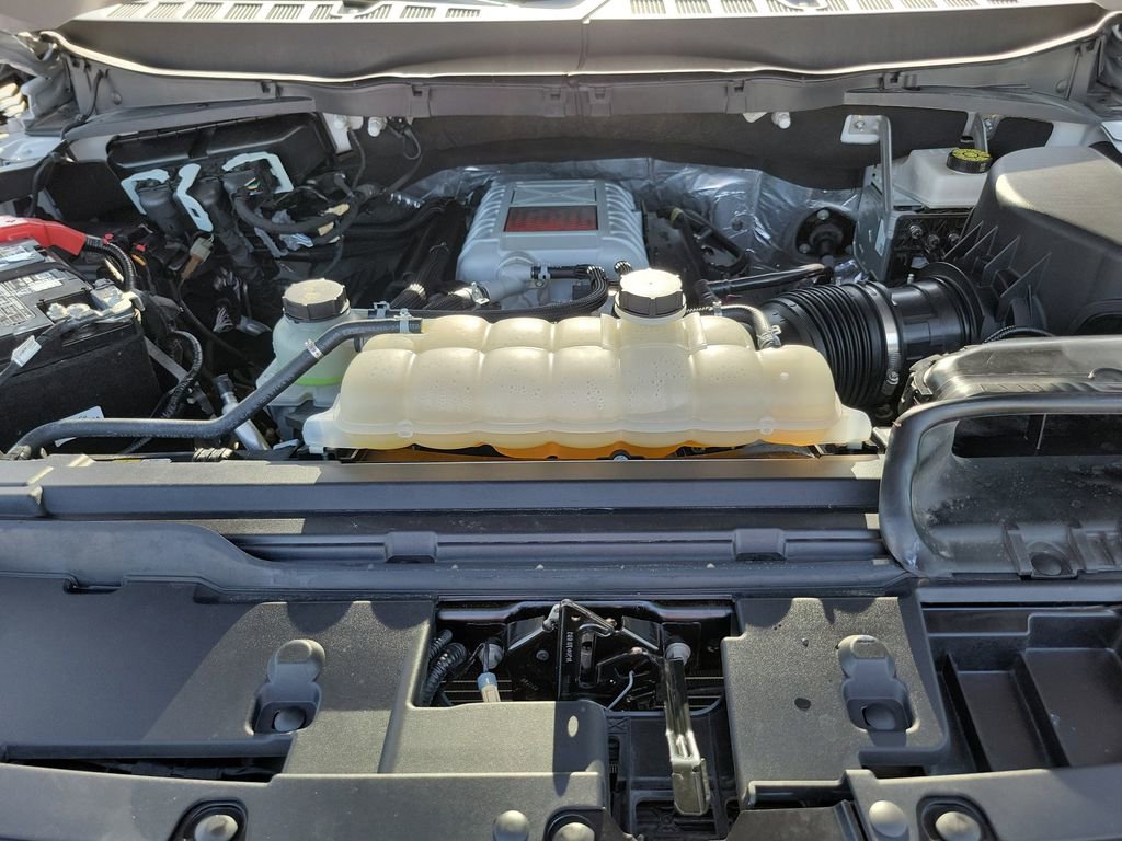 Used 2025 Ford F150 Raptor w/ Equipment Group 803A Raptor R image 36