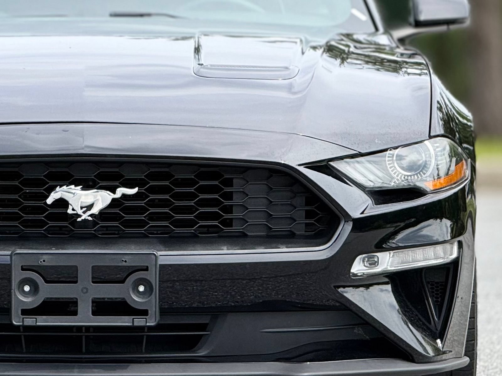 Used 2019 Ford Mustang Premium w/ Equipment Group 201A RWD image 15