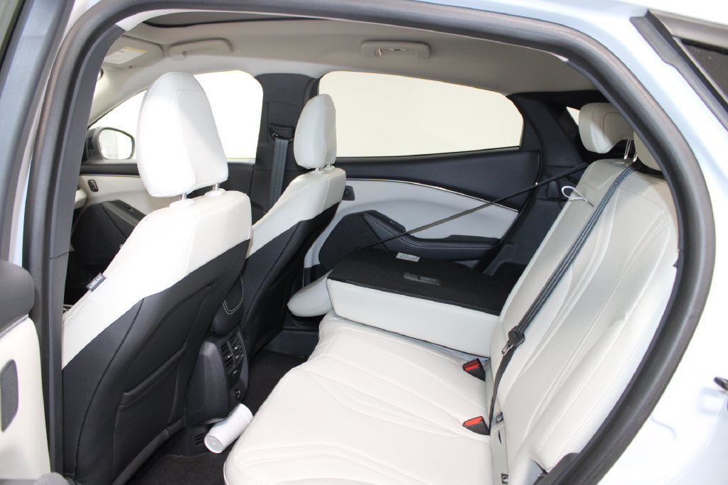 Used 2021 Ford Mustang Mach-E Premium RWD image 18