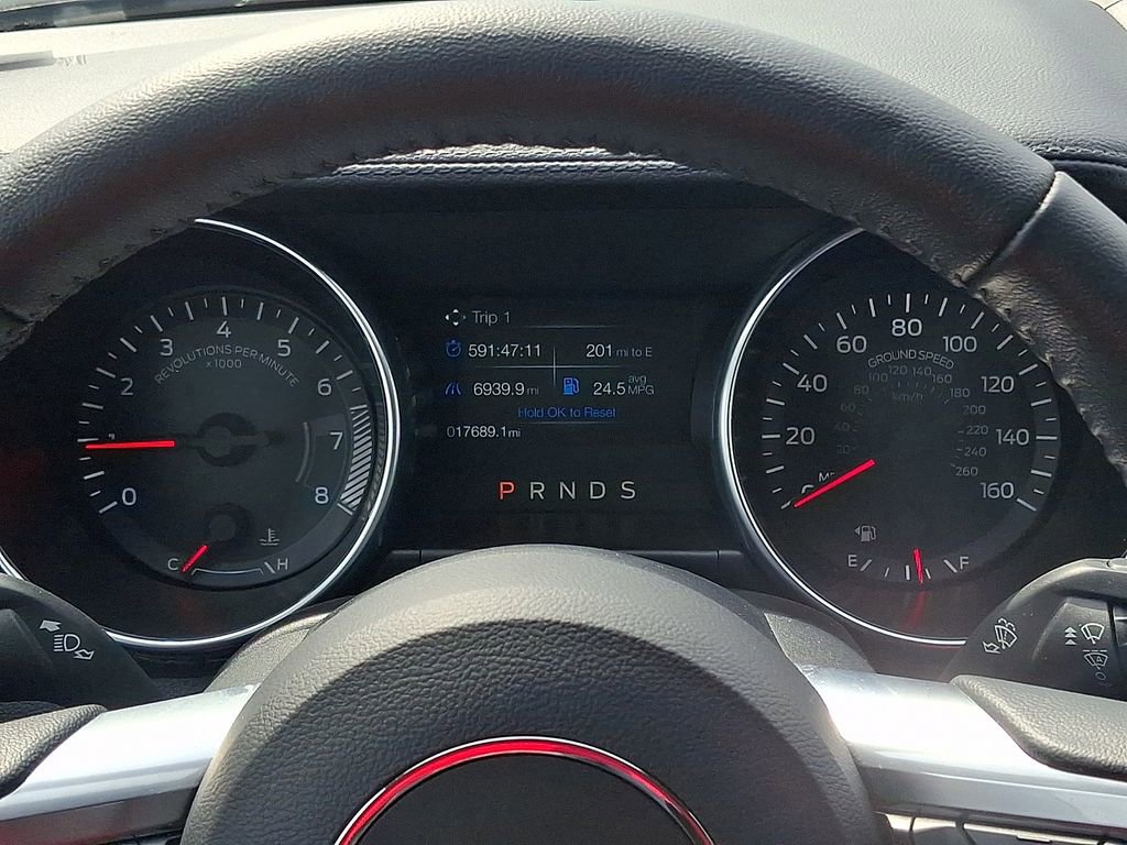 Used 2023 Ford Mustang EcoBoost w/ Mustang Nite Pony Package image 19