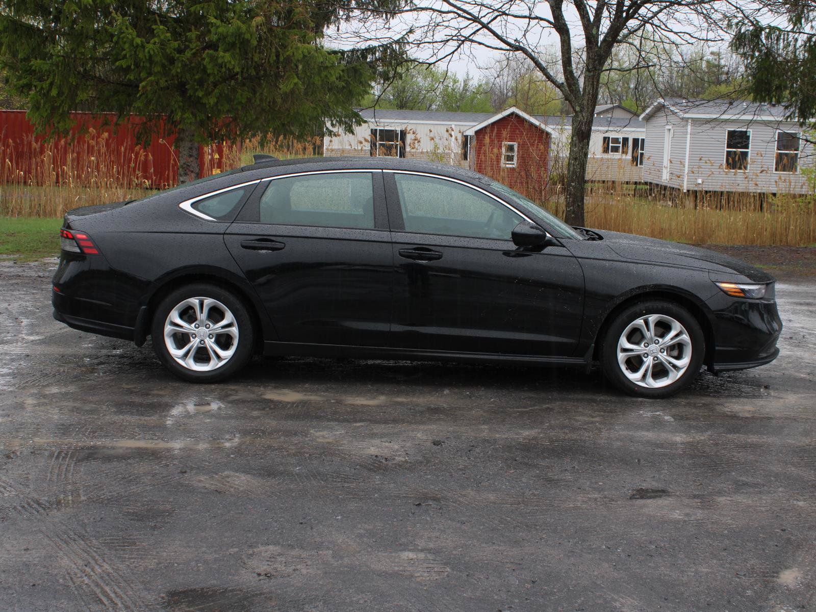 Used 2024 Honda Accord LX image 4