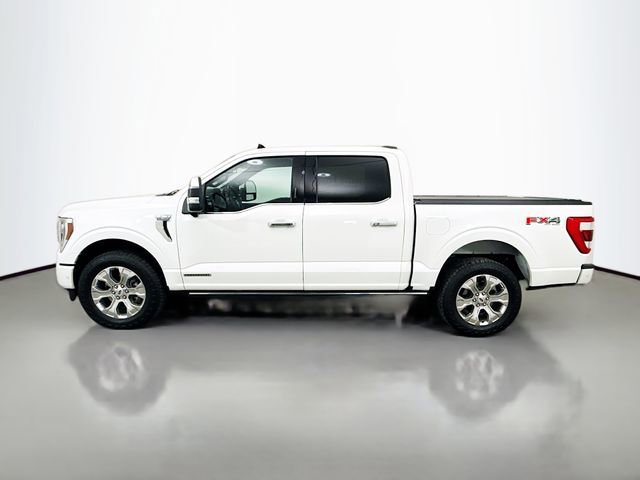 Used 2023 Ford F150 Platinum w/ Equipment Group 701A High image 4