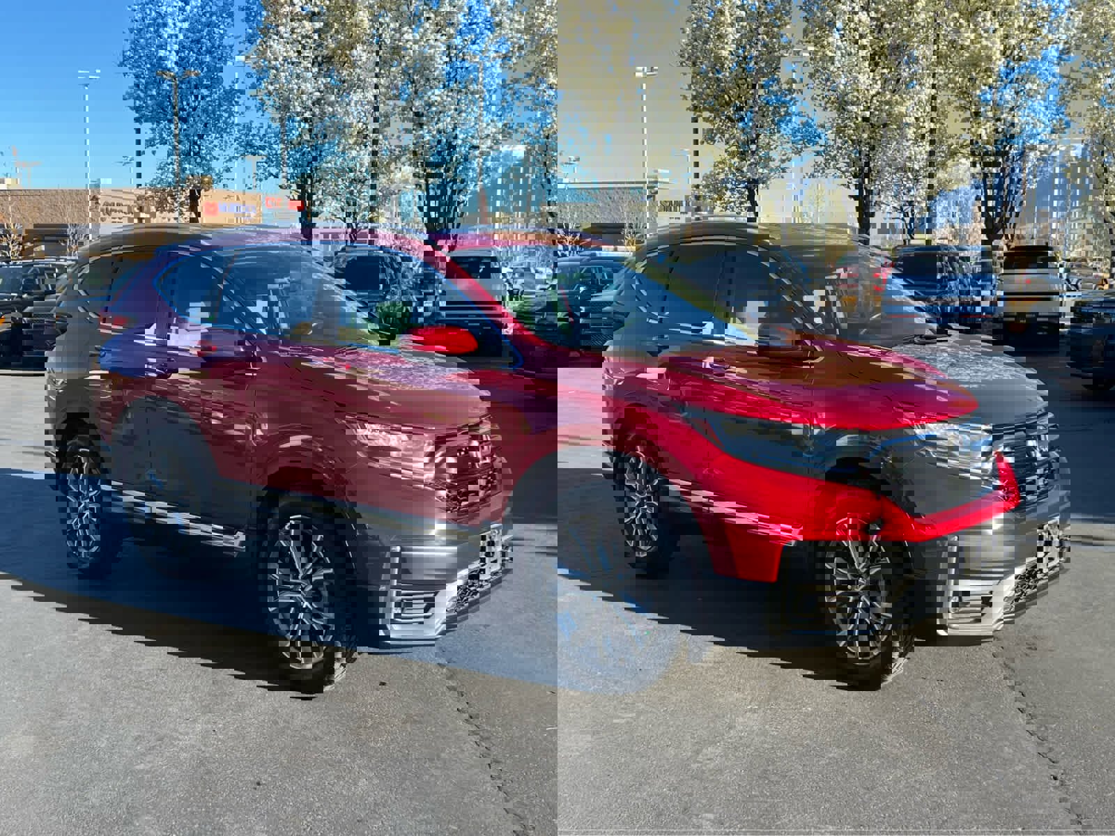 Used 2020 Honda CR-V Touring image 5