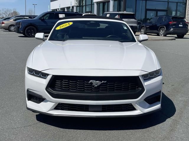Used 2024 Ford Mustang Premium image 12