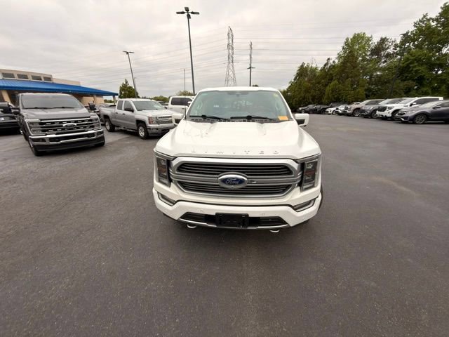 Used 2023 Ford F150 Limited AWD/4WD image 14