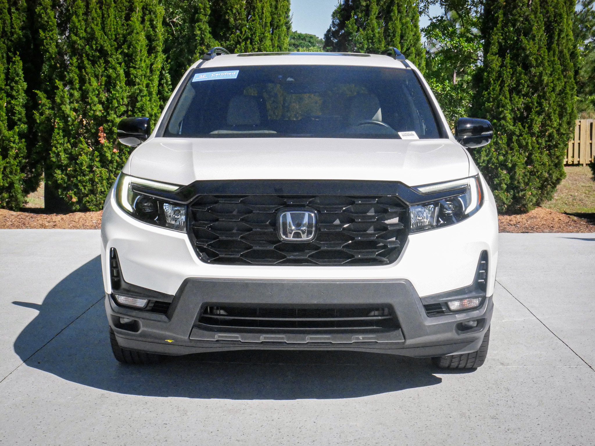 Certified 2023 Honda Passport Elite image 3