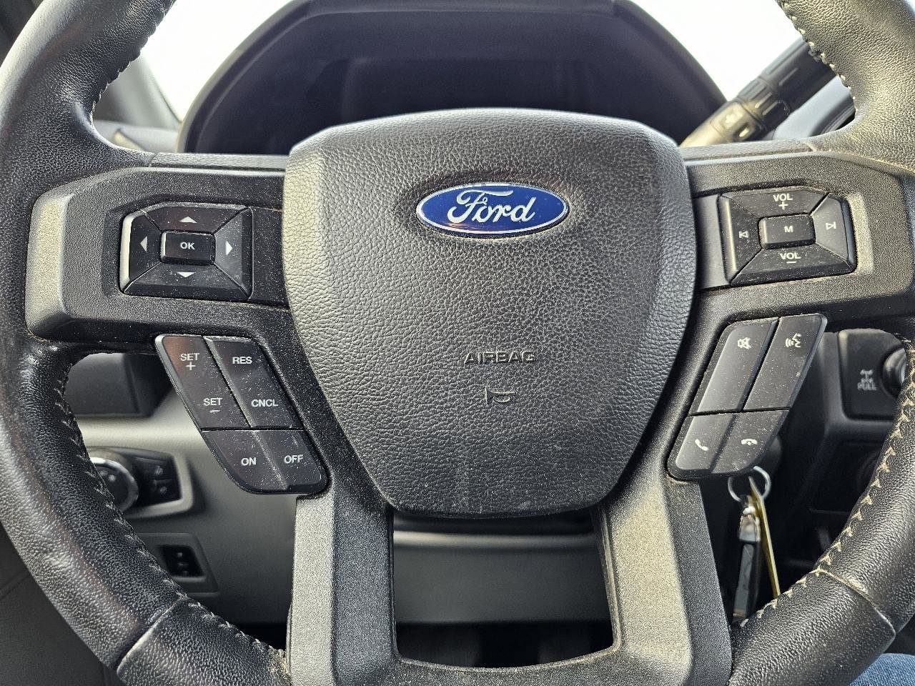 Used 2019 Ford F150 XLT w/ Equipment Group 302A Luxury AWD/4WD image 8