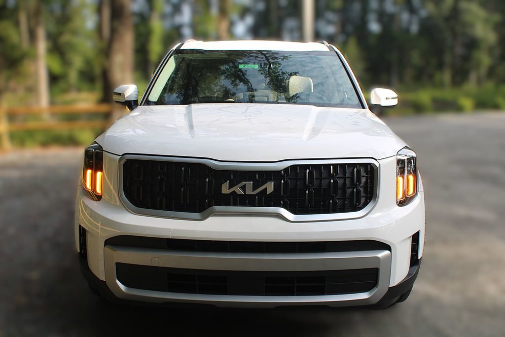 New 2025 Kia Telluride EX image 18