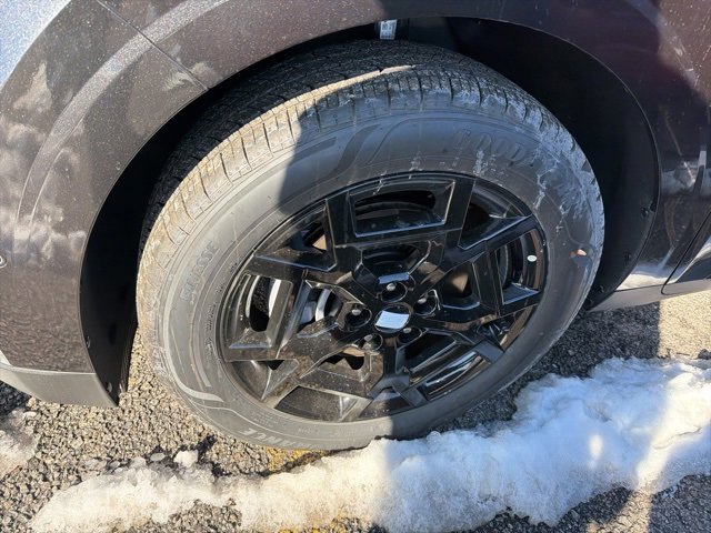 New 2026 Kia Carnival SX Prestige image 4