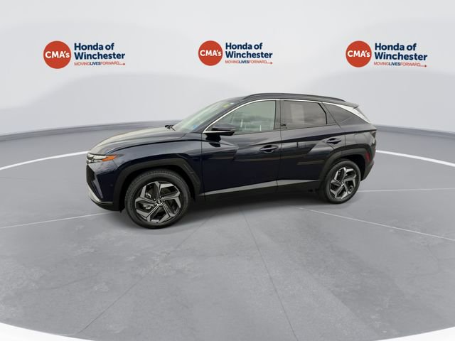 Used 2023 Hyundai Tucson Limited image 5