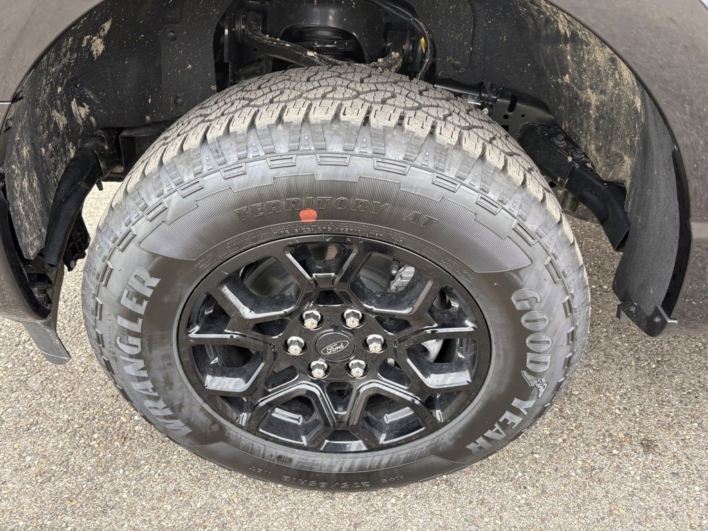 New 2025 Ford F150 XLT w/ Equipment Group 302A MID image 12