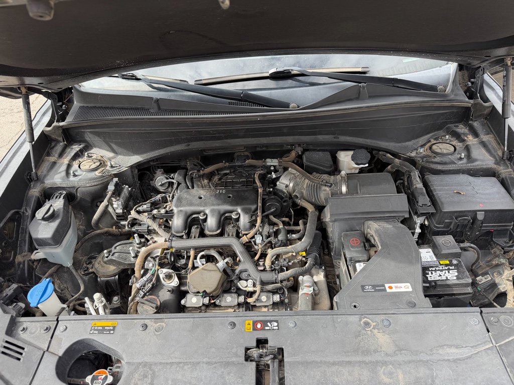 Used 2020 Hyundai Palisade SEL w/ Convenience Package image 22