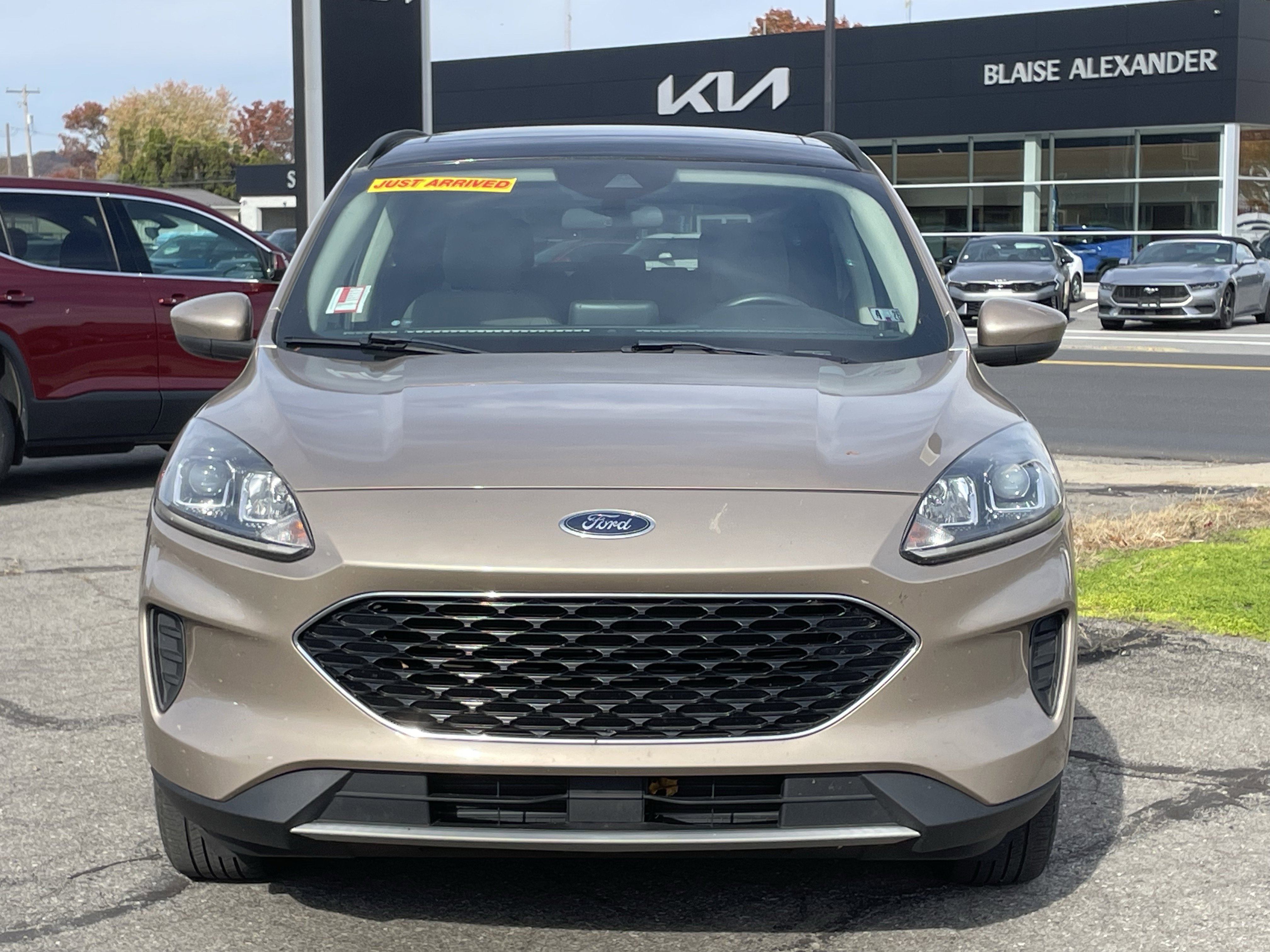 Used 2020 Ford Escape SE image 9