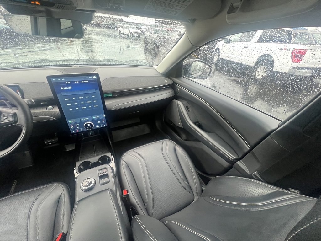 Used 2021 Ford Mustang Mach-E Premium image 19