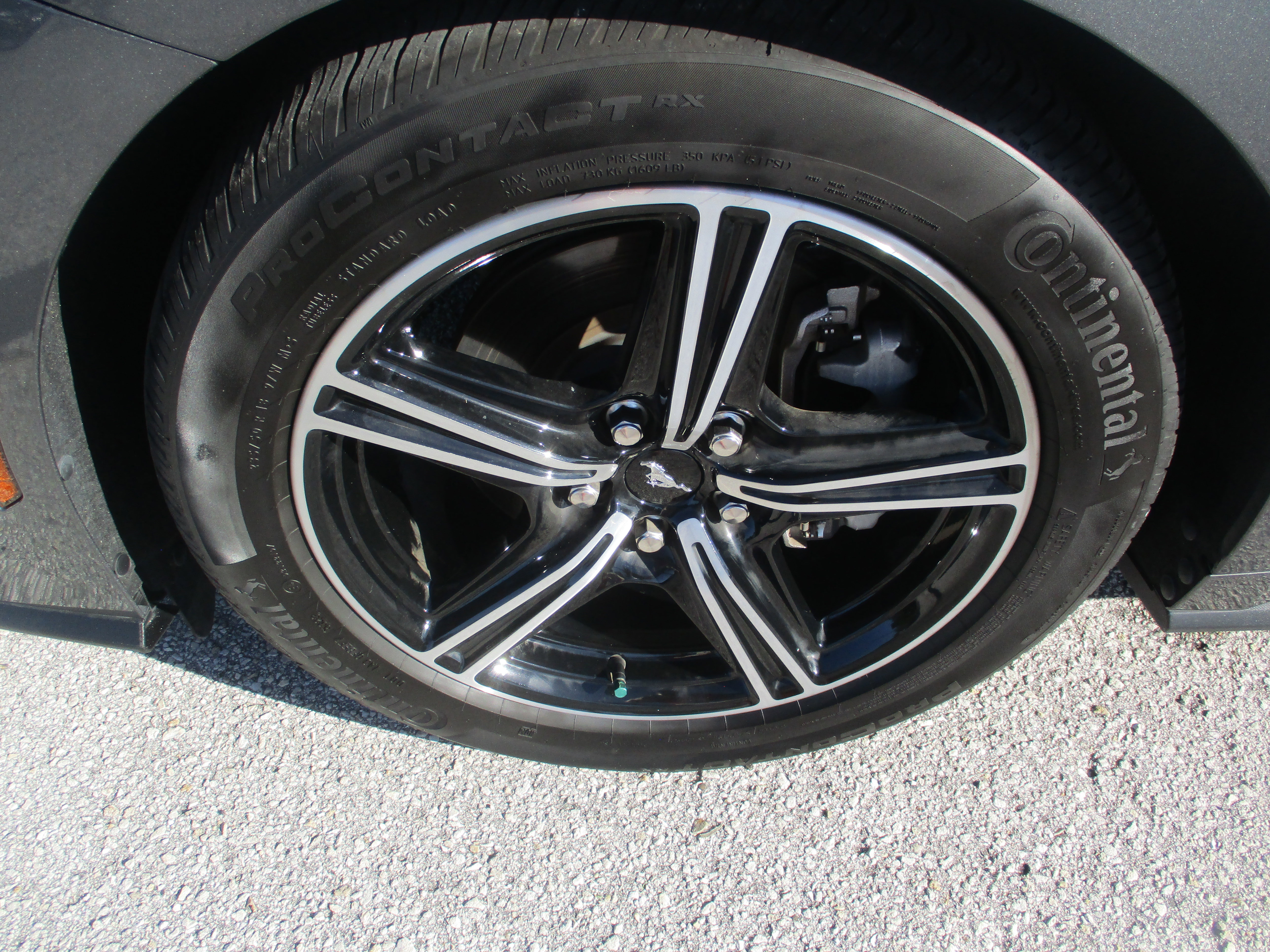 Certified 2024 Ford Mustang Premium image 9