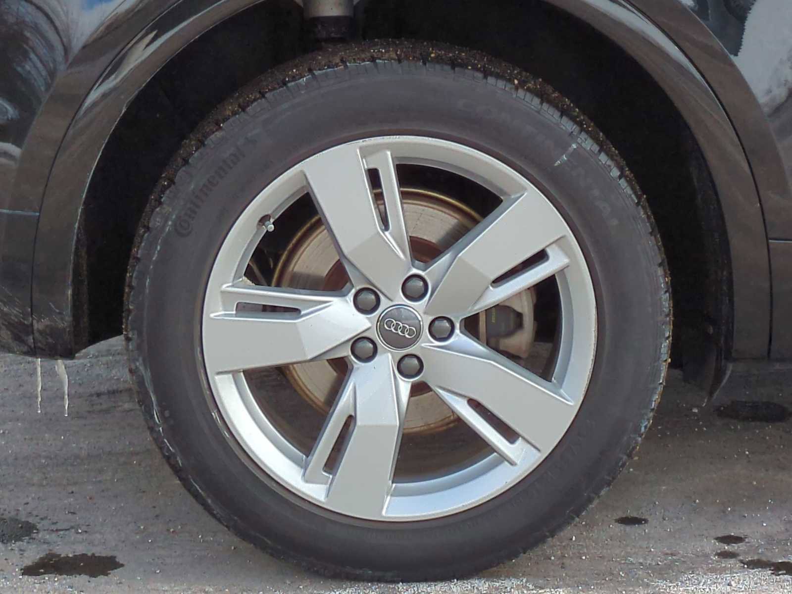 Used 2019 Audi Q5 2.0T Premium Plus image 13