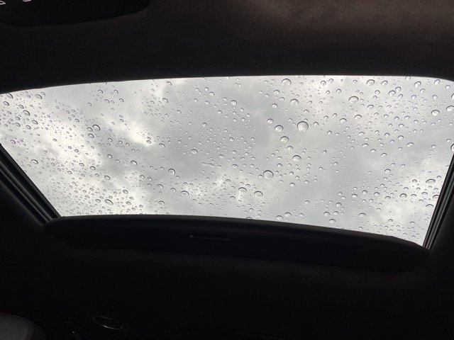 New 2026 Hyundai Palisade Calligraphy image 14