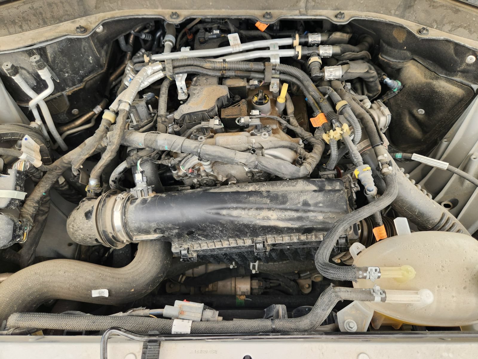 Used 2025 Ford Explorer Active RWD image 33