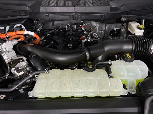 New 2025 Ford F150 XLT w/ Equipment Group 302A MID image 9