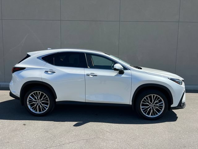 Used 2025 Lexus NX 350h AWD w/ Accessory Package (2T) image 6