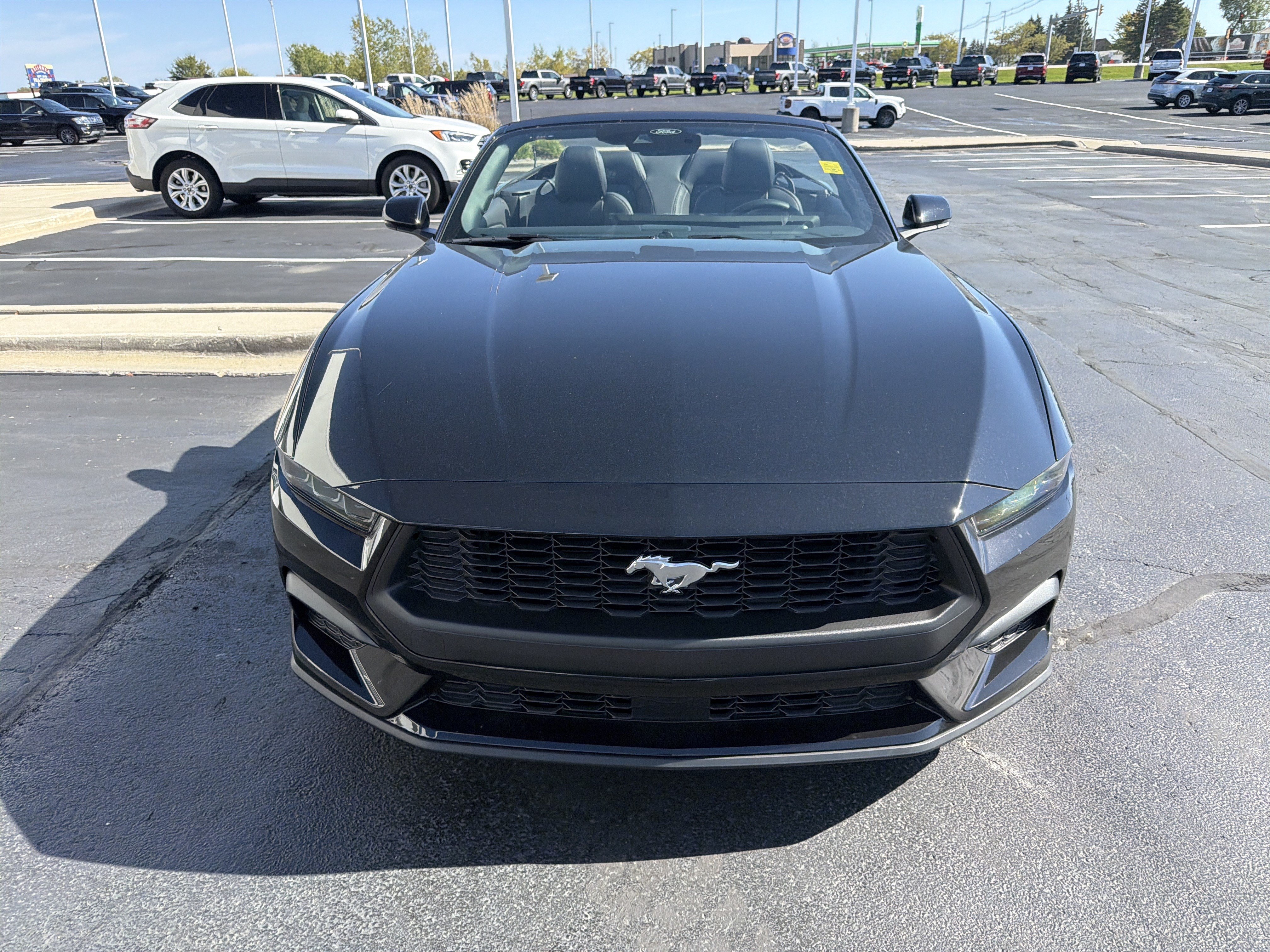 New 2026 Ford Mustang Premium RWD image 3