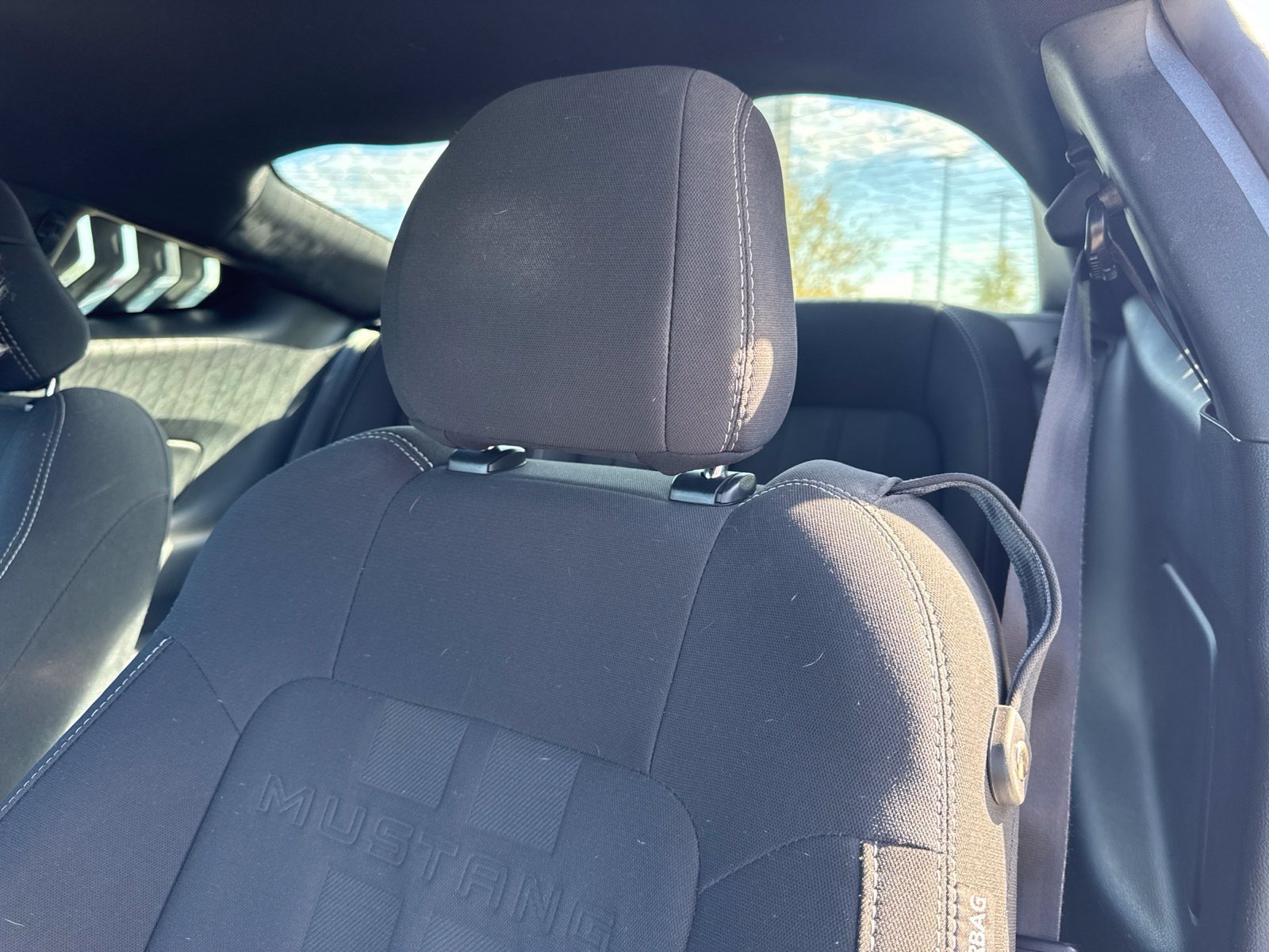 Used 2019 Ford Mustang Coupe w/ Equipment Group 101A RWD image 8