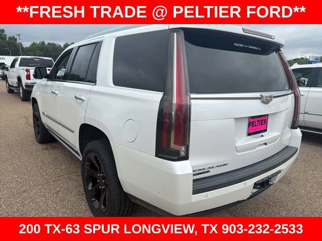 Used 2019 Cadillac Escalade Premium Luxury RWD image 5