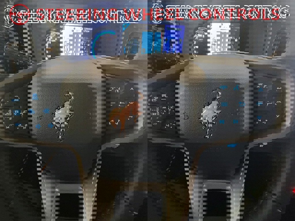 Used 2024 Ford Bronco Badlands image 19