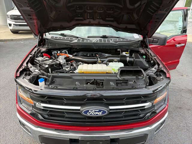 Used 2025 Ford F150 XLT w/ Equipment Group 301A Standard image 25