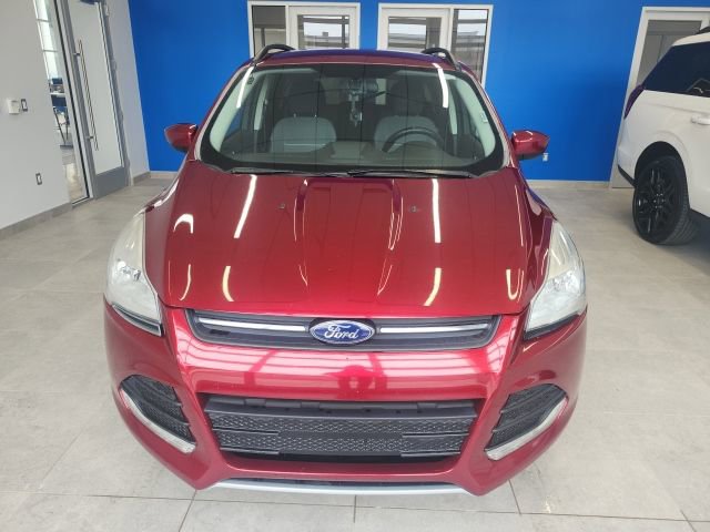 Used 2014 Ford Escape SE w/ Equipment Group 201A image 2