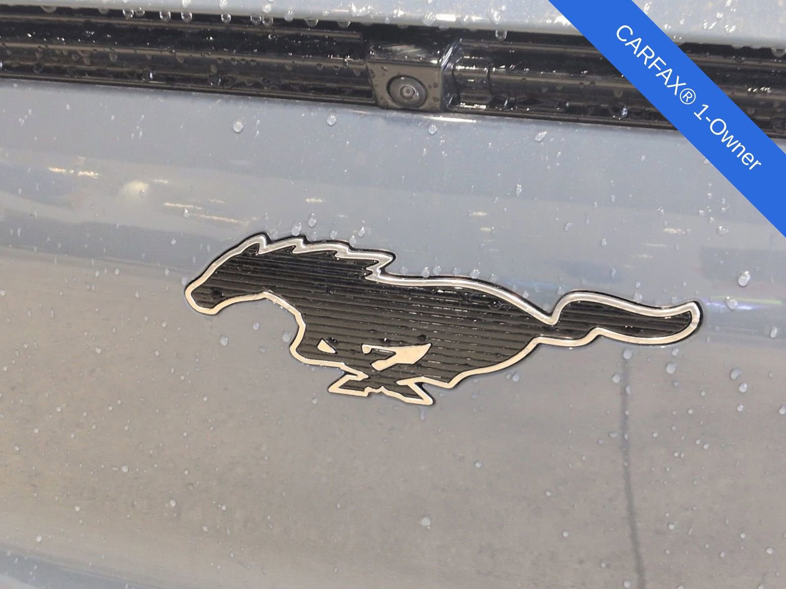 Used 2024 Ford Mustang Mach-E Premium image 14