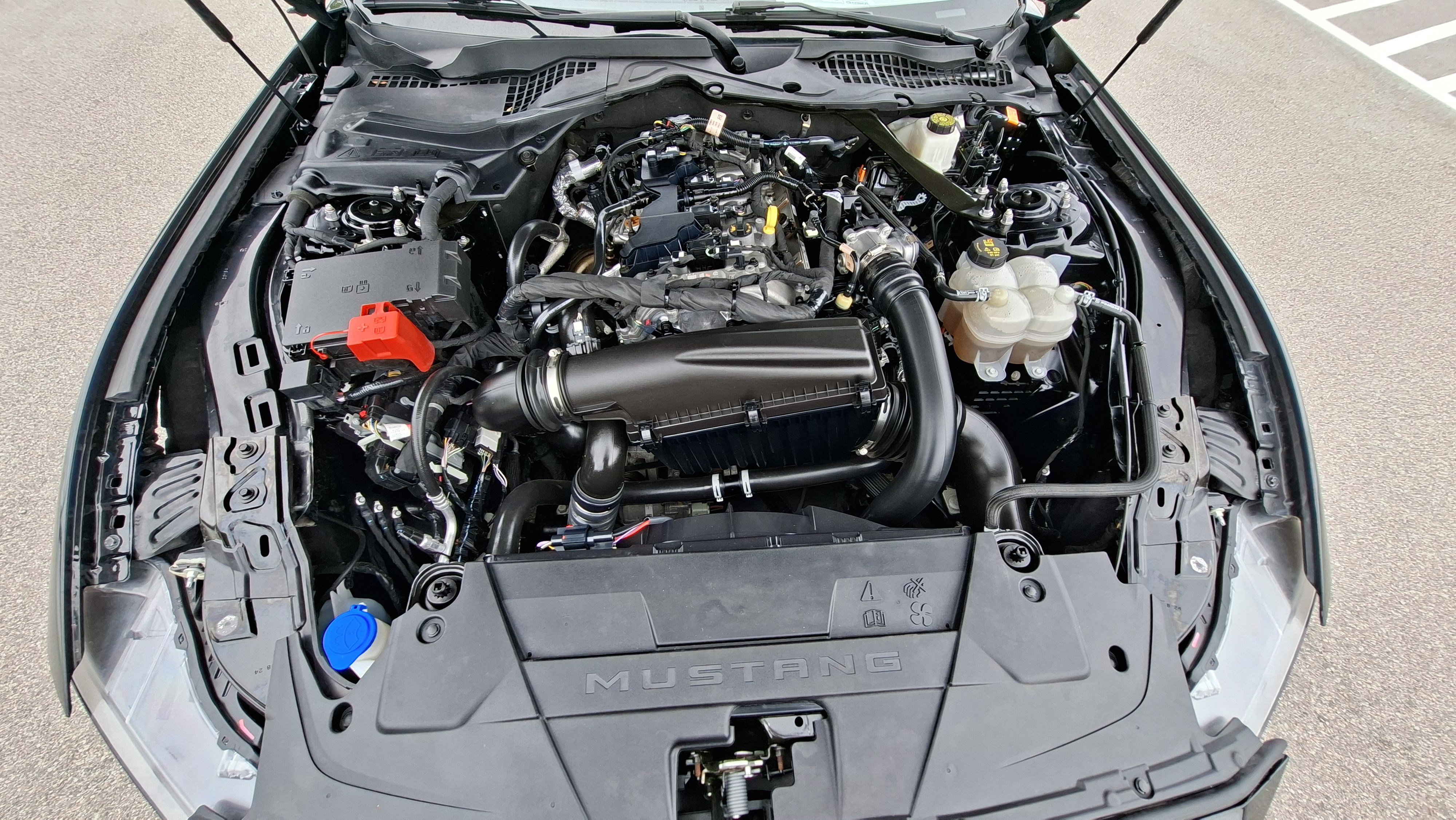 Used 2024 Ford Mustang Premium RWD image 23