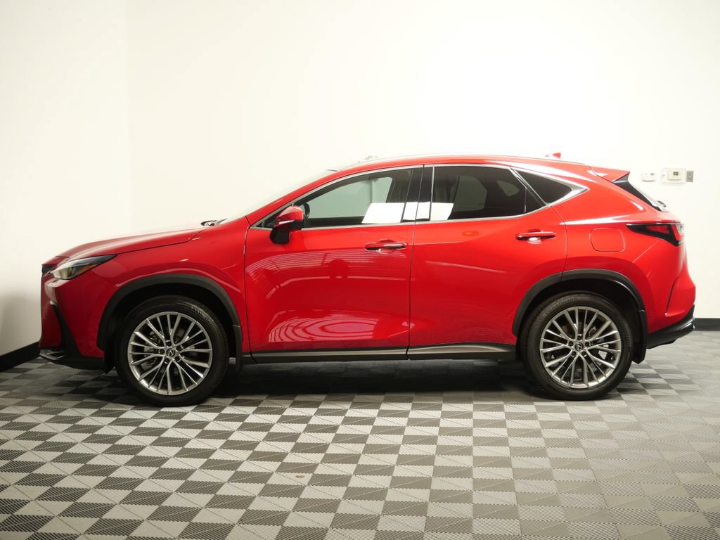 Certified 2025 Lexus NX 350 AWD w/ Cold Area Package image 5