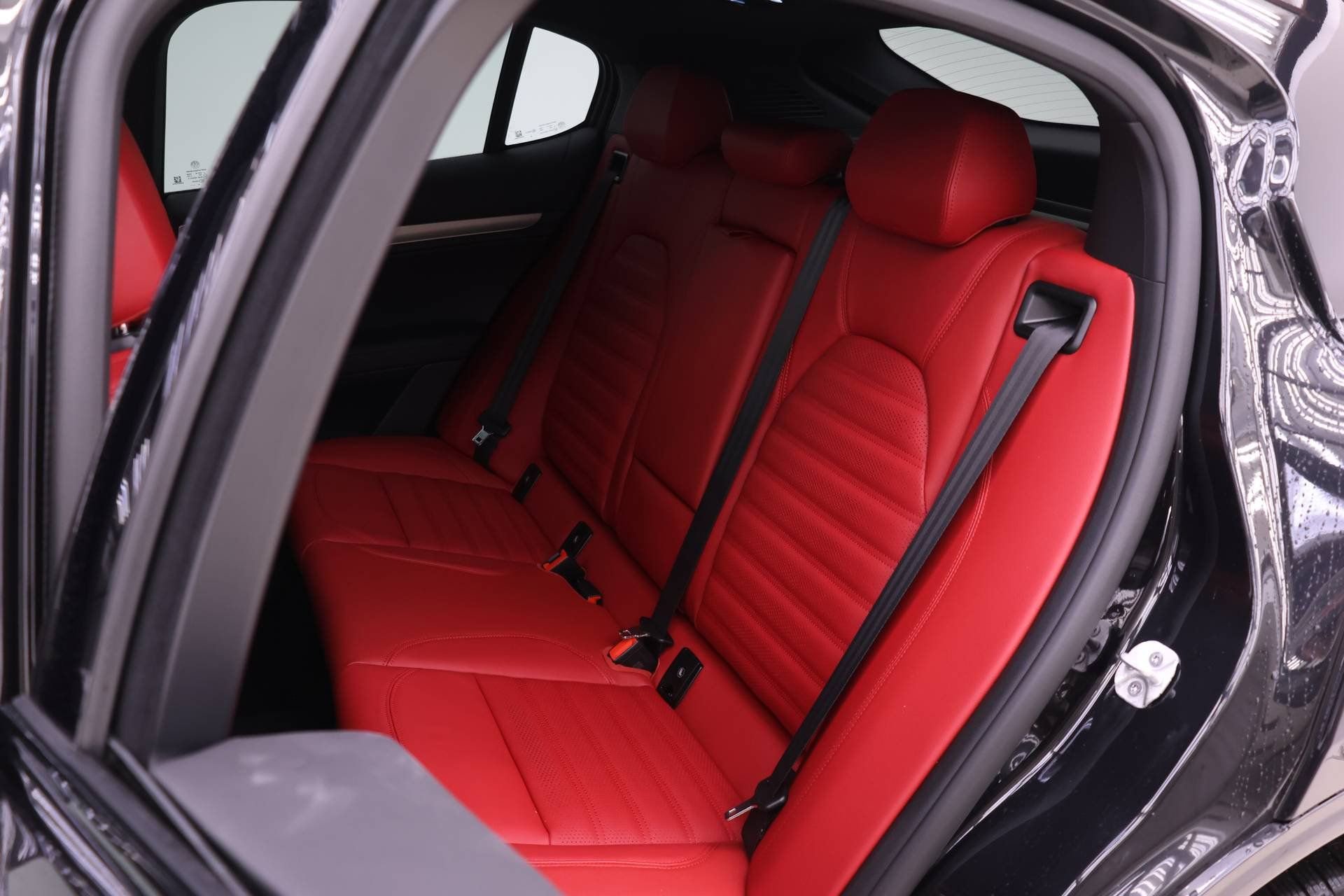 New 2026 Alfa Romeo Stelvio Sprint image 12