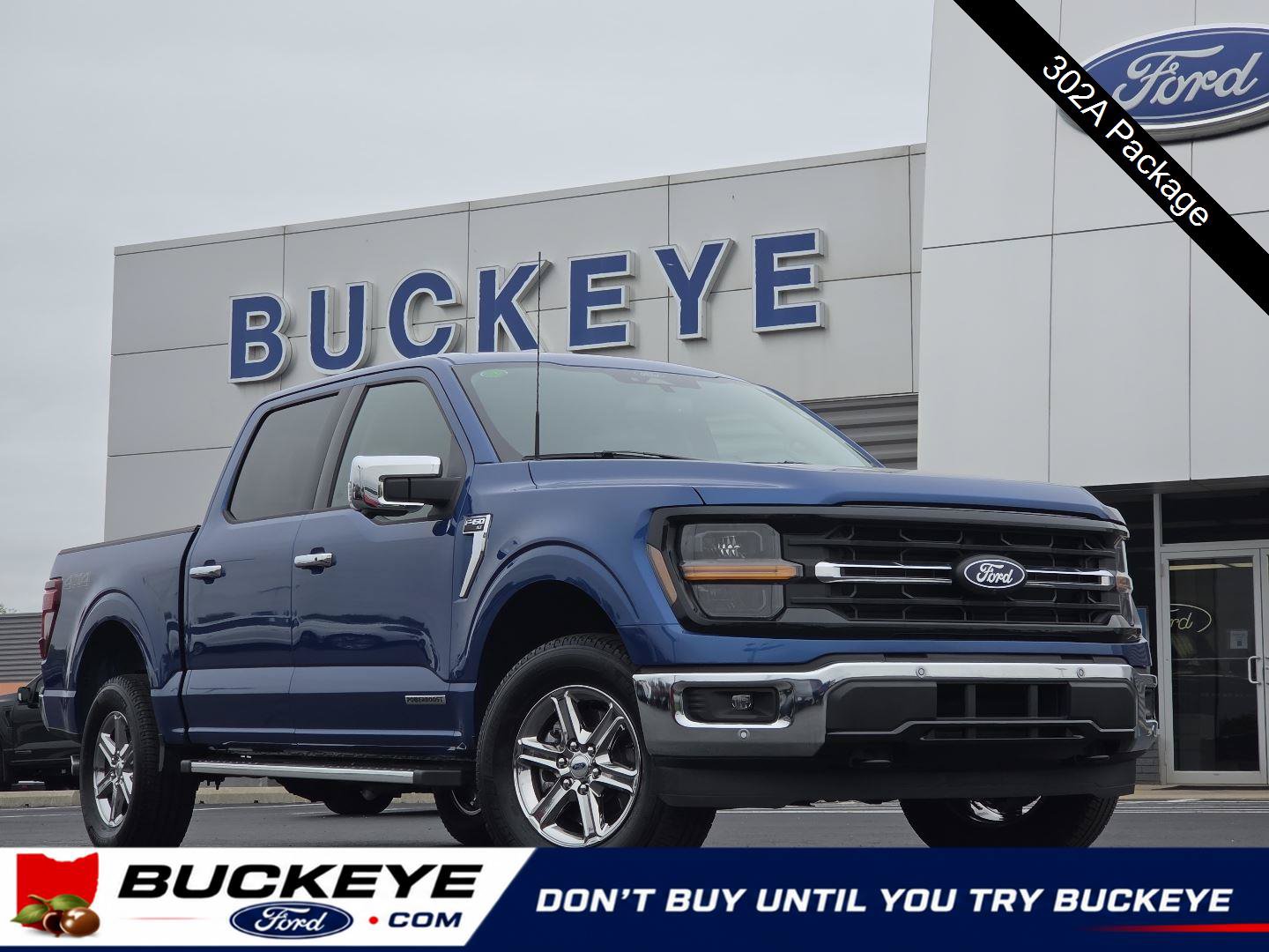 Used 2025 Ford F150 XLT w/ Equipment Group 302A MID