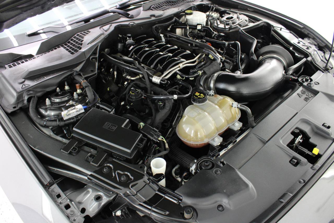 Used 2019 Ford Mustang GT w/ Equipment Group 301A RWD image 69