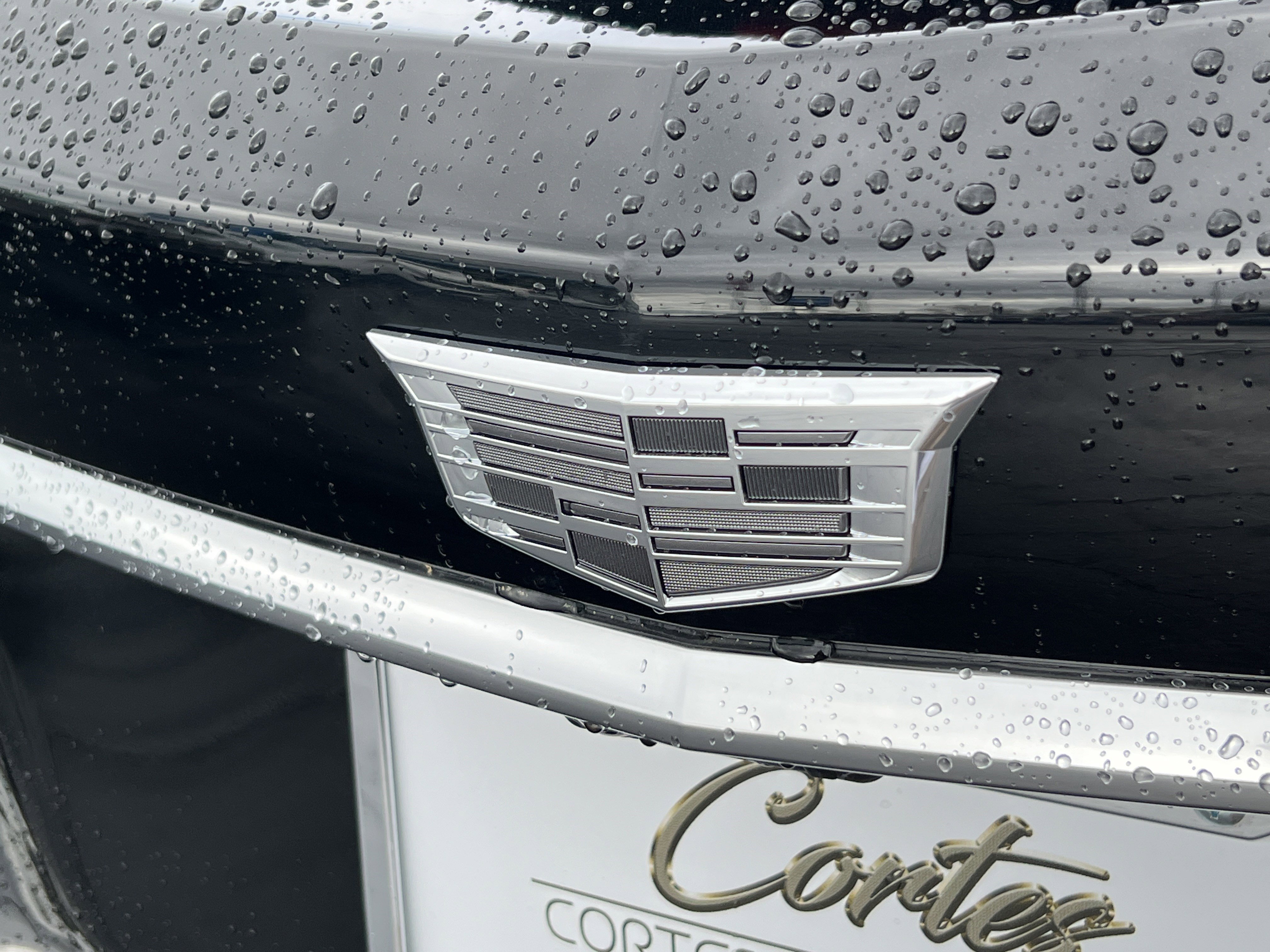 New 2026 Cadillac XT5 Sportv w/ LPO, Blue Accent Package AWD/4WD image 8