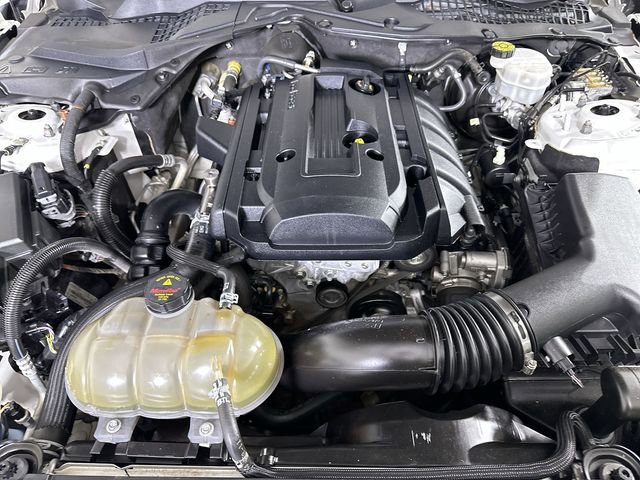 Used 2019 Ford Mustang Premium w/ Equipment Group 201A RWD image 31