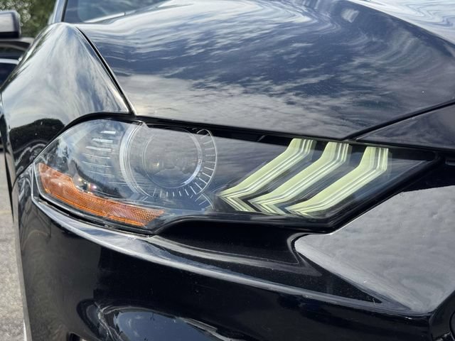 Used 2021 Ford Mustang Premium w/ Equipment Group 201A RWD image 13