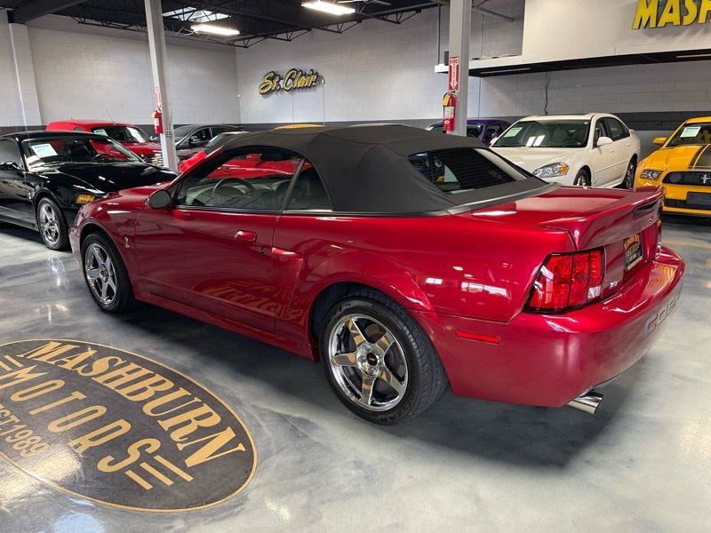 Used 2003 Ford Mustang Cobra RWD image 16
