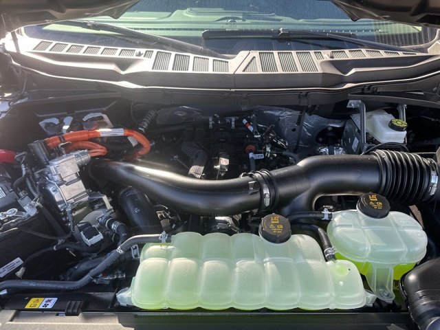 New 2025 Ford F150 XLT w/ Equipment Group 302A MID image 36