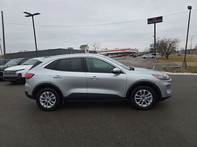 Used 2020 Ford Escape SE image 5