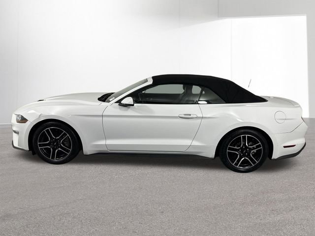 Used 2019 Ford Mustang Premium RWD image 27